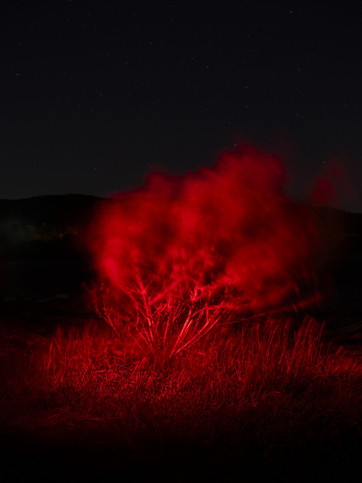 Les souffles nocturnes du canal